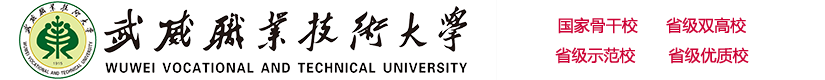 武威職業(yè)技術大學